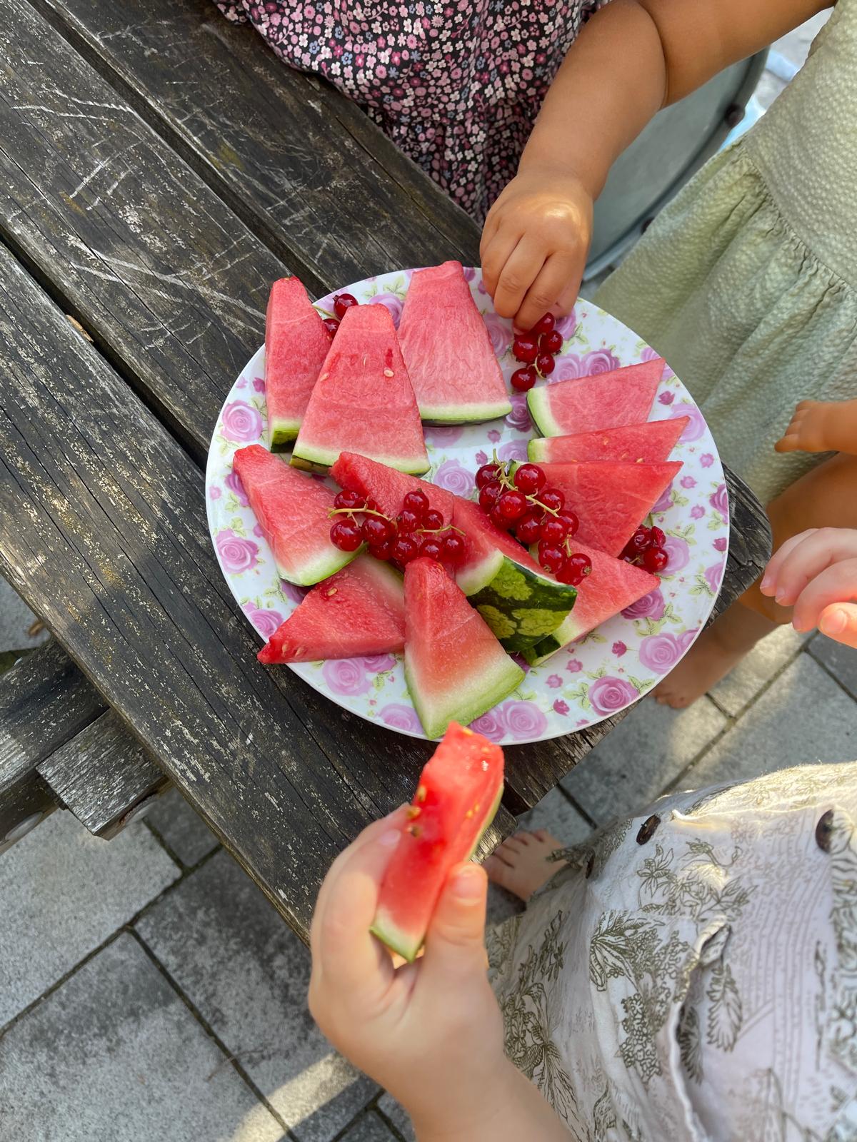 Melone und Johannisbeeren als Obst für die Kinder der Kindertagespflege in Eisingen